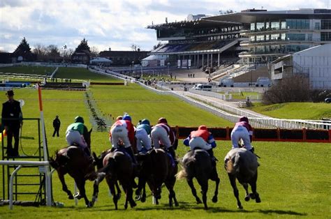 Supreme Novices’ Hurdle 2022: Tips, Runners & Prediction.